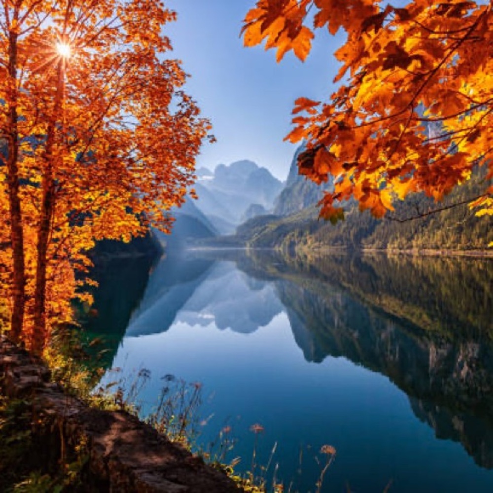 Meet your Posher, Bree